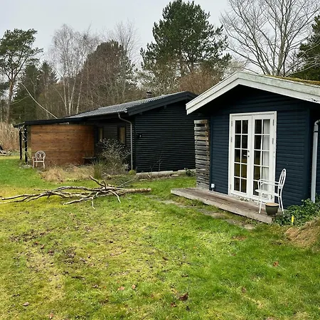 Authentecity Between Forest And In Odsherred