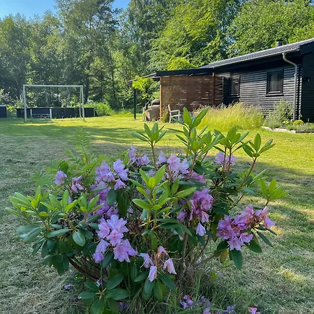 Authentecity Between Forest And In Odsherred Højby