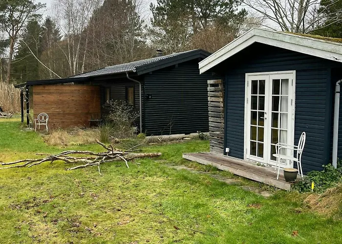 Authentecity Between Forest And In Odsherred