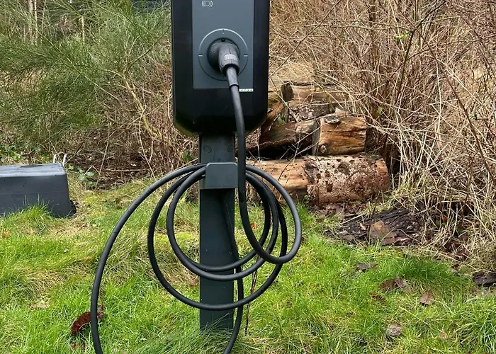 Authentecity Between Forest And In Odsherred *