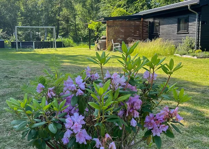 Authentecity Between Forest And In Odsherred Højby